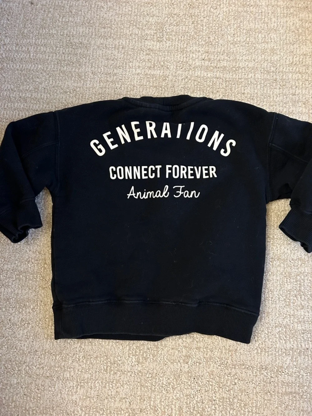 Zara toddler sweatshirt - Picture 4 of 4